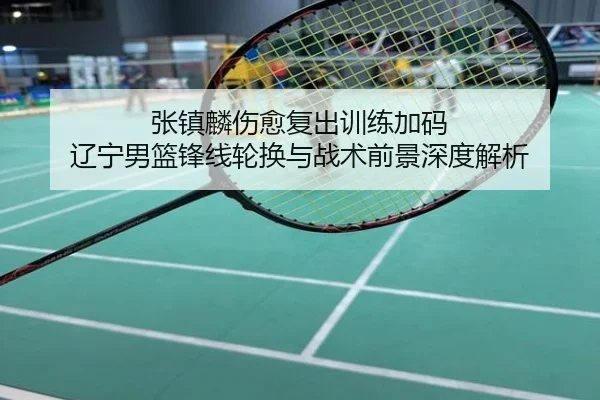 张镇麟伤愈复出训练加码 辽宁男篮锋线轮换与战术前景深度解析