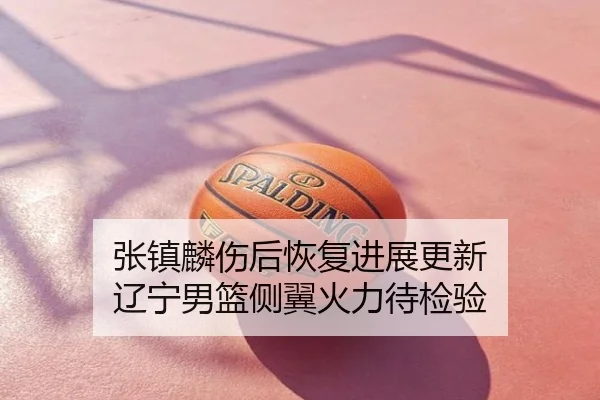 张镇麟伤后恢复进展更新 辽宁男篮侧翼火力待检验
